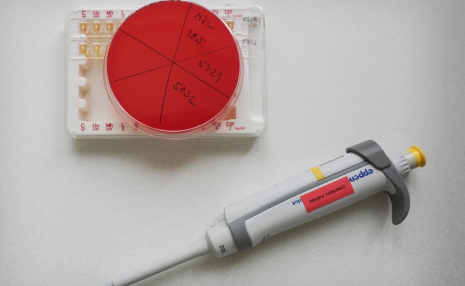 Klinická mikrobiologie