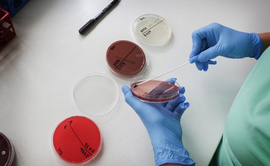 Klinická mikrobiologie