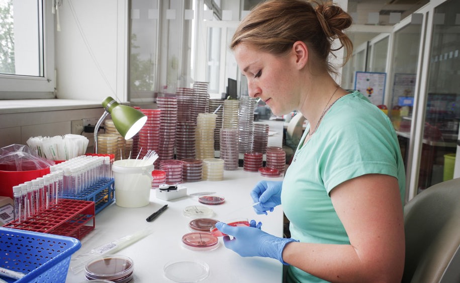 Klinická mikrobiologie