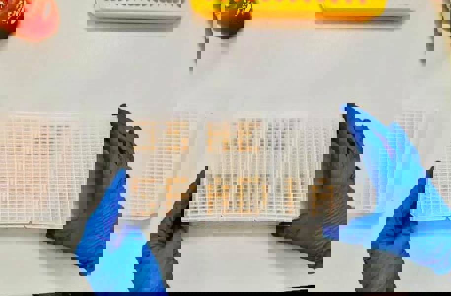 Laboratoř SPADIA LAB reaguje na aktuální zpřísnění cestování do Řecka